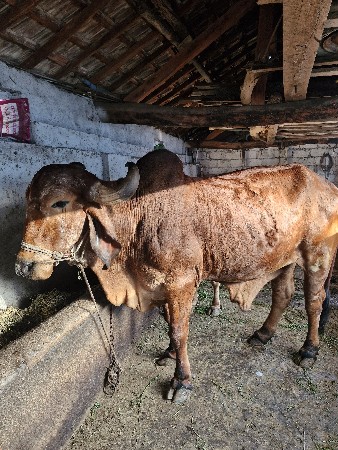 थंबनेल 2