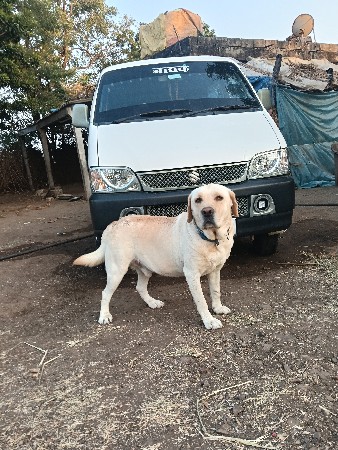 थंबनेल 2