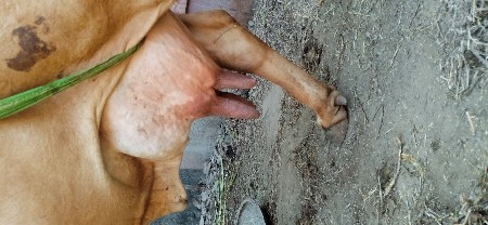 थंबनेल 3