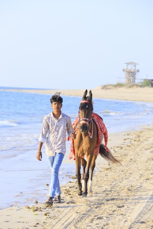 થંબનેલ 3