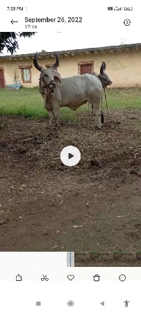 બીજી ધર્