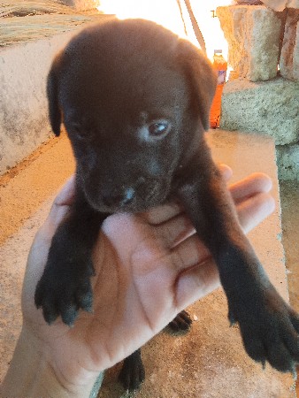 થંબનેલ 3