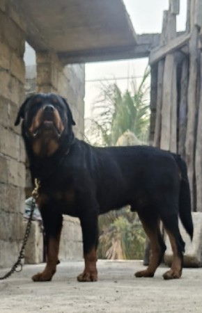 મિટિંગ માટે સે