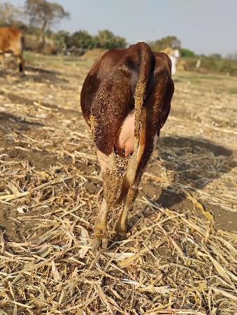 થંબનેલ 3