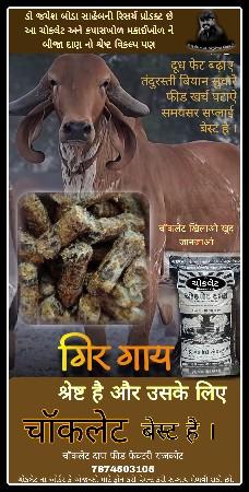 થંબનેલ 6