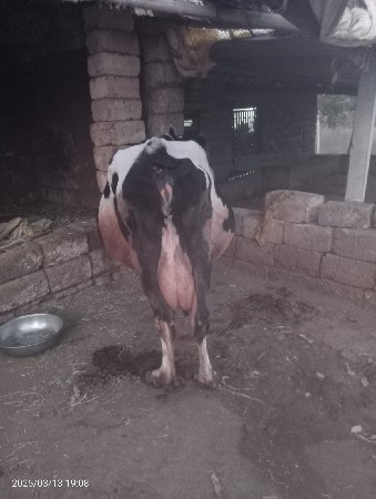 थंबनेल 2