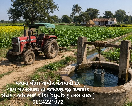 50 વિઘા જમીન વેચવાની