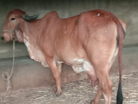 थंबनेल 2