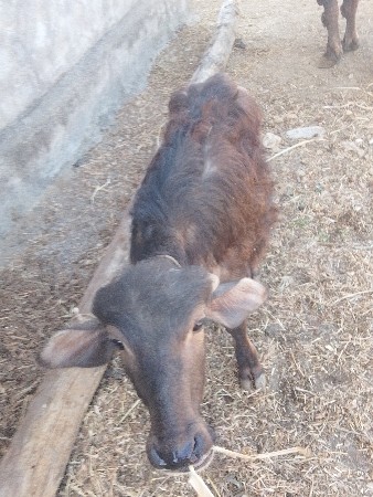 थंबनेल 3