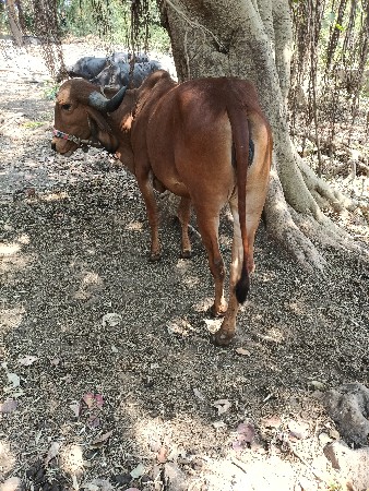 थंबनेल 2