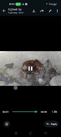 थंबनेल 6