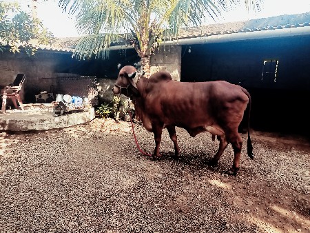 બીજું વેધર