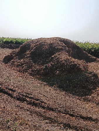 ભૂકો વેસવાનો સે