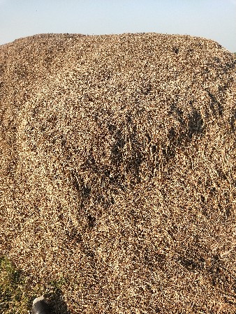 ભુકો વેચવાનો છે સાત વીઘાનોછે