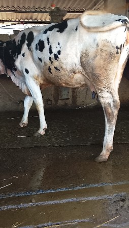 थंबनेल 5