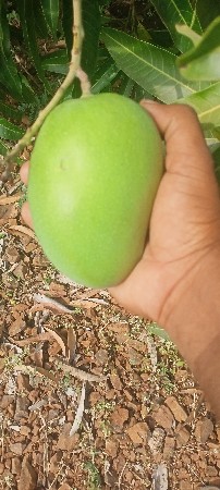 થંબનેલ 3