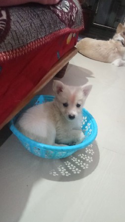 થંબનેલ 3