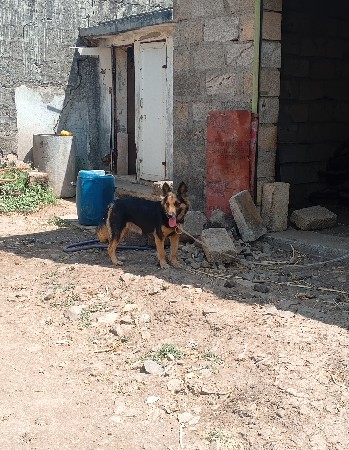 થંબનેલ 3