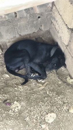 થંબનેલ 3