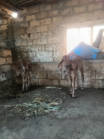 थंबनेल 3