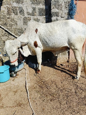 थंबनेल 2