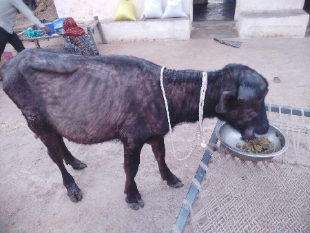 थंबनेल 2