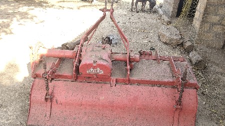 સેમી ચેમ્પિયન