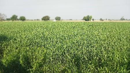 થંબનેલ 3