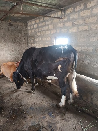 थंबनेल 3