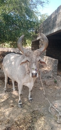 थंबनेल 2