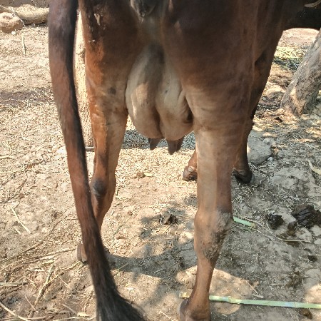 थंबनेल 2