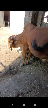 थंबनेल 3