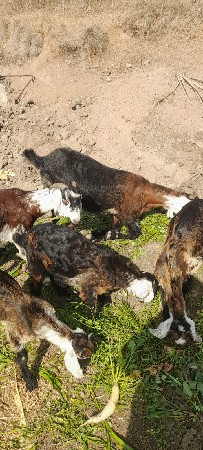 થંબનેલ 2