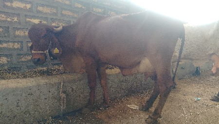 थंबनेल 3