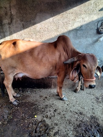 थंबनेल 2