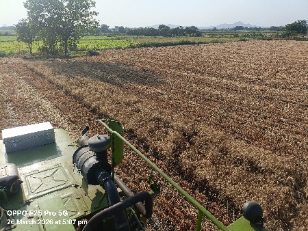 પ્યૉર ઓર્ગેનિક ઘવ માટે મળો...