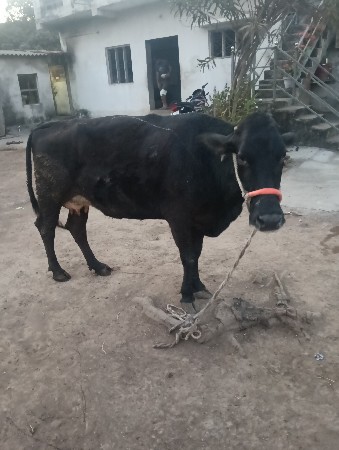 थंबनेल 2