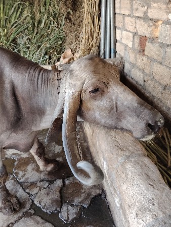 थंबनेल 2