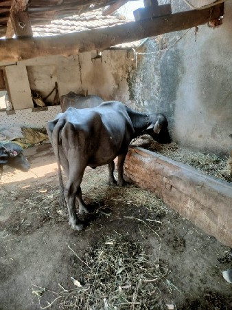 थंबनेल 3