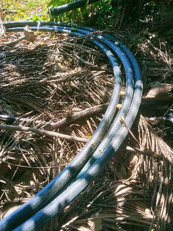 બેનો પાઇપ વેચવાનો છે