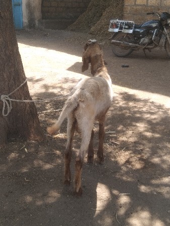 थंबनेल 3