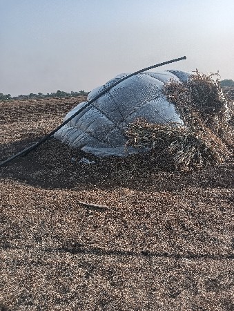બાર વીકાનો તુવેર નો ભૂકો વેચવાનો