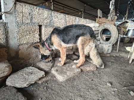 થંબનેલ 3