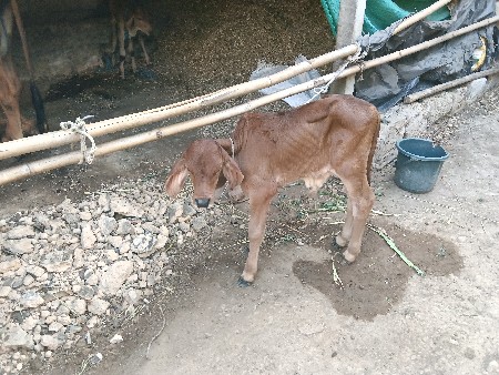 થંબનેલ 2