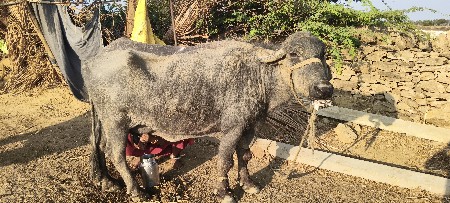 थंबनेल 2