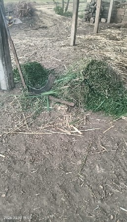 નીરણ કાપવાનો હુડો વેચવાનો છે.