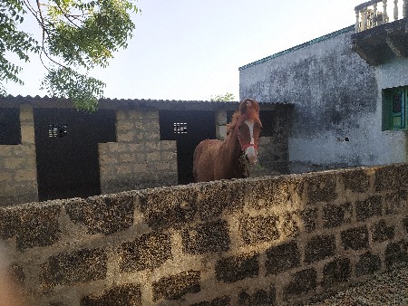 Mujhse Vaswani hai Porbandar