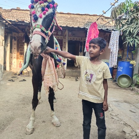 થંબનેલ 2