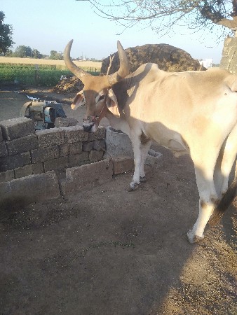 थंबनेल 2