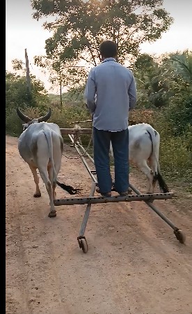 थंबनेल 3